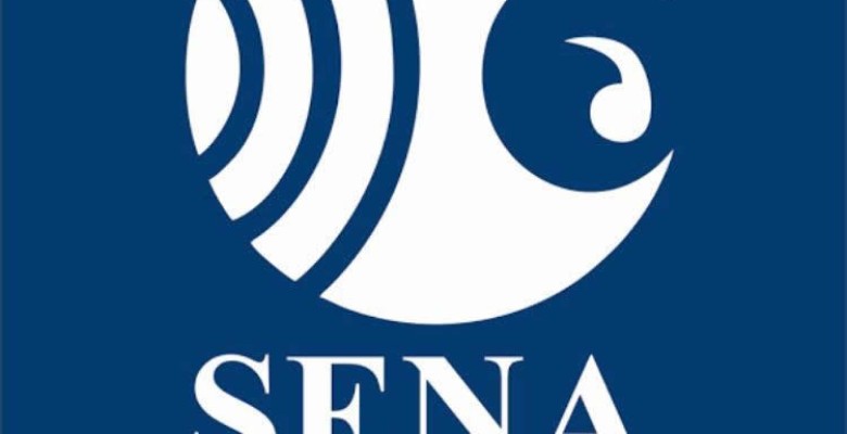 SENA- Sistema de Estimulação Neuro Auditiva